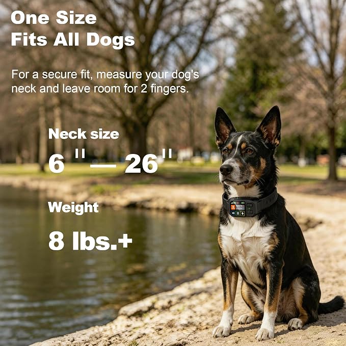 GPS Wireless Dog Fence System 2 in 1 Circular Rectangular Boundary 49-6500ft 3 Training Modes Magnetic Charging Waterproof No Subscription Dog Collar for All Dogs(Black)