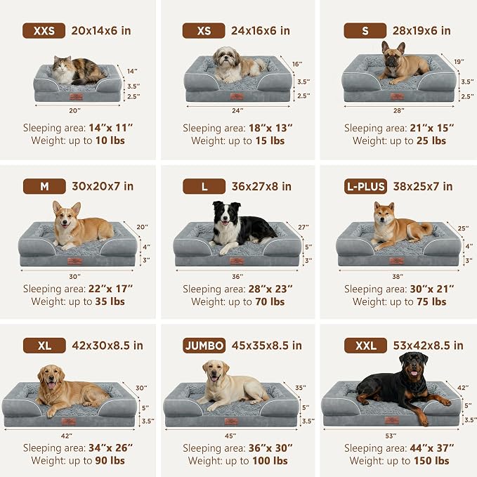 Comfort Expression Waterproof Orthopedic Dog Beds for Large Sized Dog | Supportive Egg Crate Foam Large Pet Bed with Removable Bolsters, Dog Couch with Washable Cover & Non-Slip Bottom, 38x25 Inch