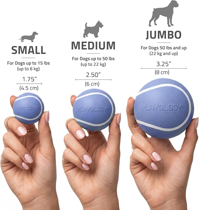 Playology Squeaky Chew Ball Dog Toy - Medium, Blueberry Scent