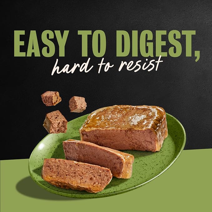 Cesar Classic Loaf in Sauce Wet Dog Food, Top Sirloin, 3.5 oz, 24 Count | Made in USA, Real beef #1 ingredient, no fillers or artificial flavors, 100% complete & balanced, easy peel trays