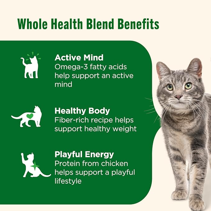 Nutrish Dry Cat Food, Chicken & Brown Rice Recipe, 6 lb. Bag (Rachael Ray) | Suitable For All Life Stages, Veterinarian Reviewed Formula, Natural Food with Added Vitamins, Minerals & Nutrients
