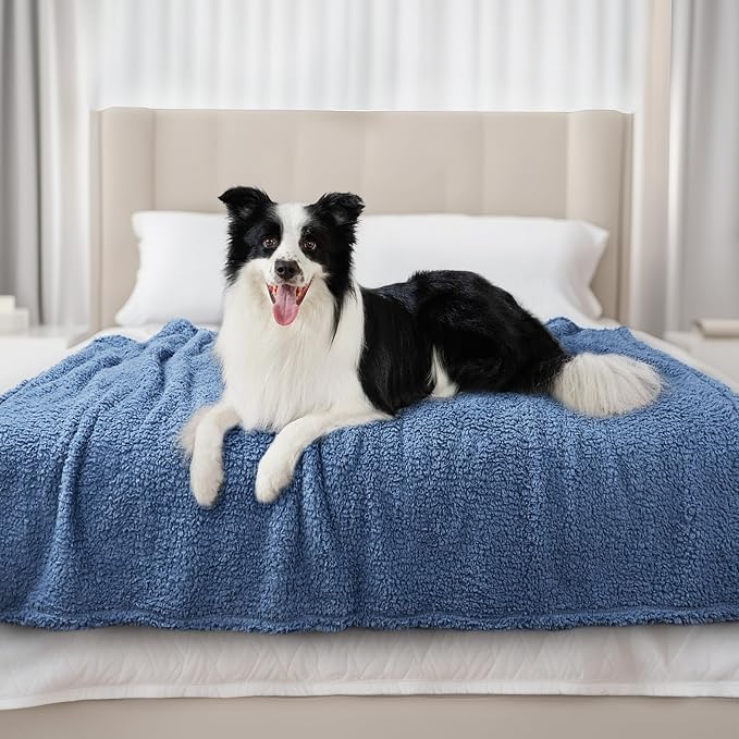 Luciphia Ultra Soft Sherpa Fleece Dog Puppy Cat Blanket for Small Pets | Calming Plush Throw for Crate, Couch, Car, Bed. Machine Washable. Puppy Essential, Cat Stuff,Haze Blue,57"x40"