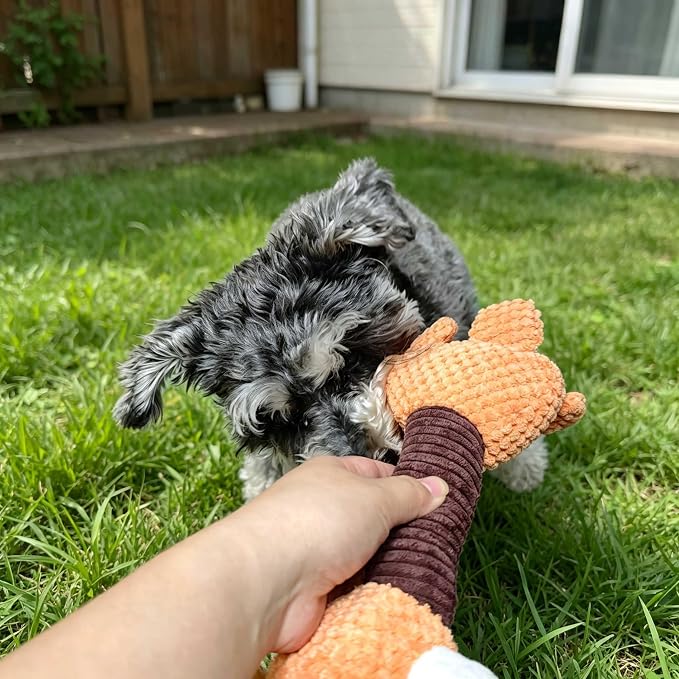 Squeaky Plush Dog Toys, Cute Animal Pet Toy for Small Dogs, Horse