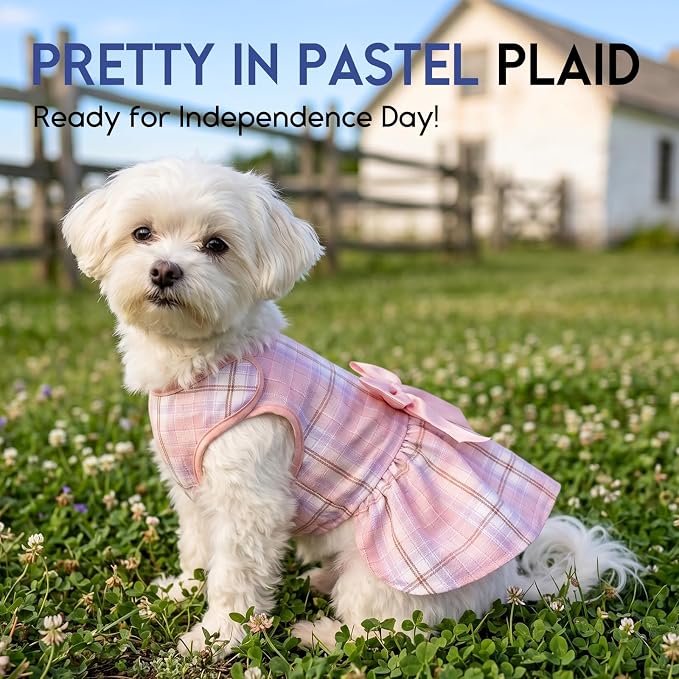 ASENKU Dog Dress Pet Wedding Dress Puppy Birthday Party Outfit, Plaid XXS | Dog Flower Girl Dress With Leash Hole, Princess Puppy Dress For Weddings, Daily Wear, Fits Small Medium Large Dogs Cats