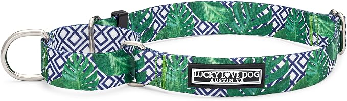 Lucky Love Dog Martingale Collar for Medium Dogs Cute – Blue Laguna, Medium