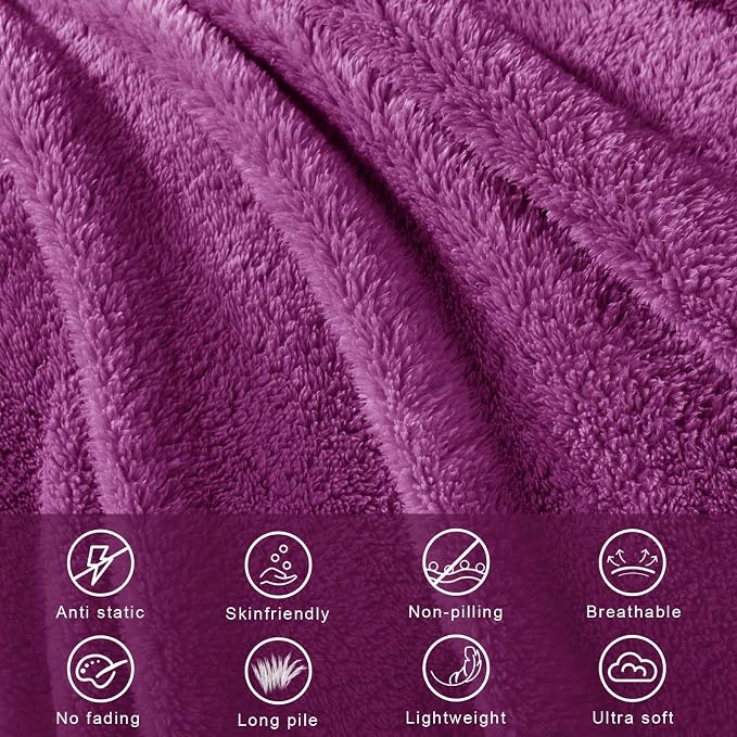 Exclusivo Mezcla Soft Plush Fleece Twin Size Blankets for Bed Living Room | Lightweight Fuzzy Fluffy Large Blanket for All Seasons, Cozy Velvet for Women Men, Machine Washable, 60"x80", Purple