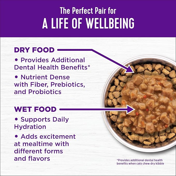 Wellness Complete Health Adult Dry Cat Food for Indoor Cats, Natural, Wholesome Grains Kibble, Chicken Recipe, 5 lb Bag