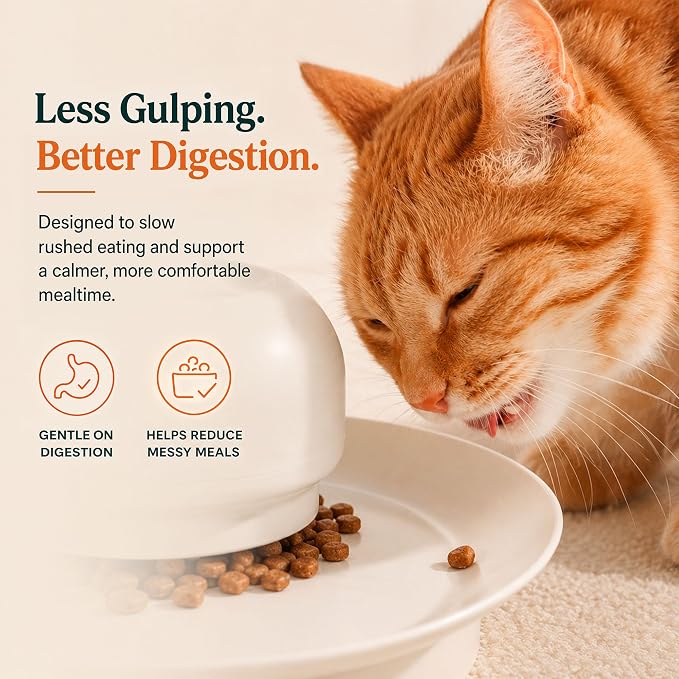 Cat Slow Feeder, Adjustable Cat Slow Feeder for Indoor Cats, Cat Food Dispenser with Twist-to-Adjust Food Flow, Interactive Dry Food Feeder, Gravity Cat Feeder for Fast Eaters