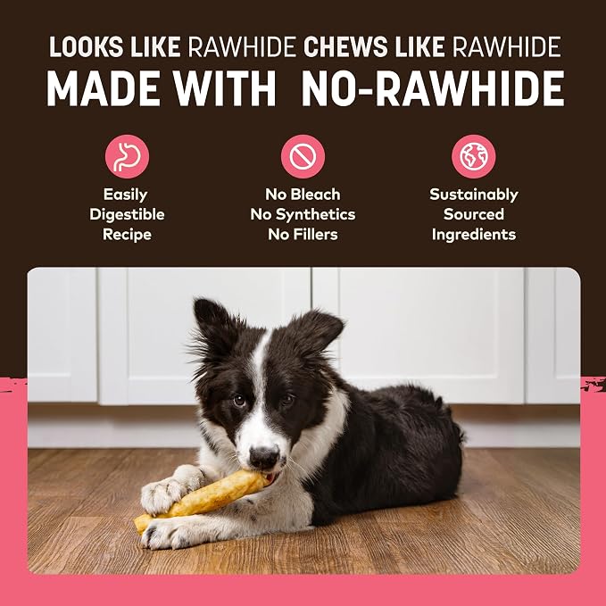Earth Animal No Hide Dog Chews - Rawhide Free Medium Rolls 3 Count Salmon | Medium Salmon Flavored Natural Rawhide Free Long Lasting Dog Chews - Treats for Medium Dogs and Aggressive Chewers