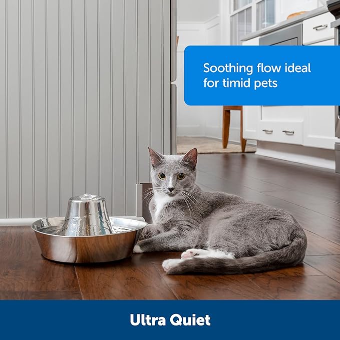 PetSafe Seaside Stainless Steel Cat & Dog Fountain, 60 Oz Water Capacity - 2 Water Filters & 1 Pump Included, Soothing Flow for Pets, Scratch-and Rust-Resistant Material - Quiet Motor (Pack of 4)
