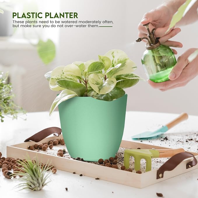 Plant Pots Indoor with Drainage, 10 Pack Multi-Size Planters Set, Mint | Drainage holes included Multiple sizes 7/6.6/6/5.3/4.8 In Indoor plants and flowers Durable plastic construction
