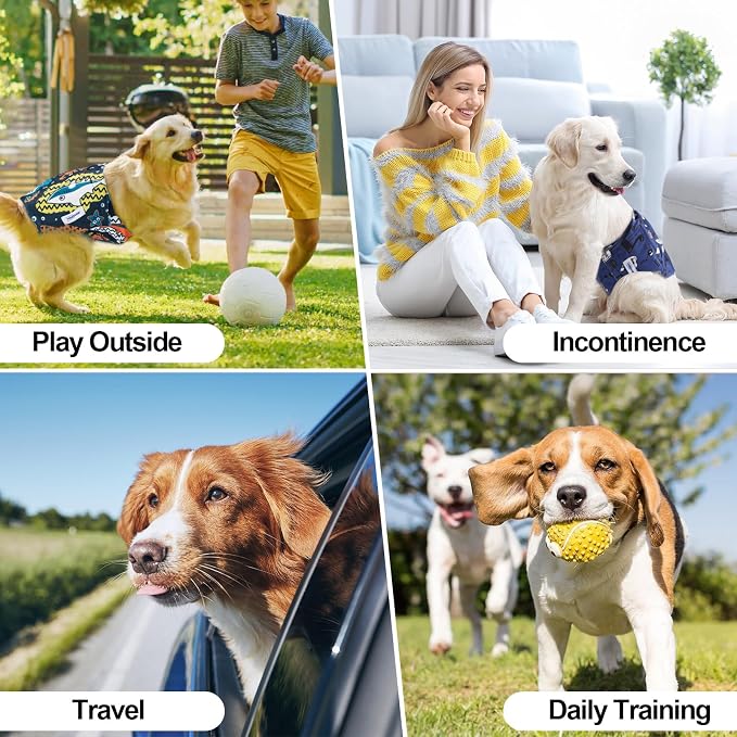 Washable Dog Diapers Male Reusable, Premium Belly Bands for Male Dogs Small, Pack of 3, High Absorbing Small Male Dog Pee Wraps for Doggie in Incontinence or Excitable Urination and Training(S)