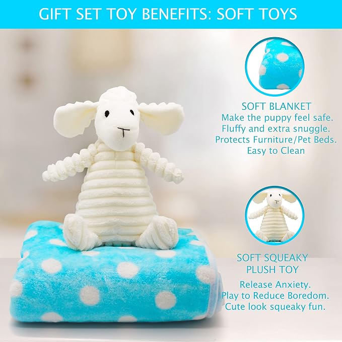 Puppy Starter Kit – 5pc Dog Toy Gift Set for Small Dogs – New Puppy Essentials Gift Box with Blanket, Squeaky Plush, Teething Ring, Treat Ball & Chew Ball (Blue)