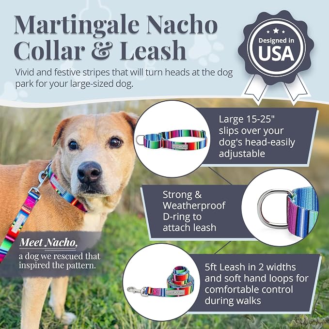 Lucky Love Dog Martingale Collar & Leash Set Cute – Nacho Color and, Large