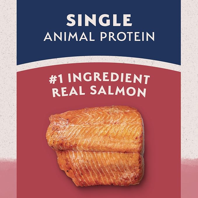 Natural Balance Limited Ingredient Adult Dry Dog Food - Complete Nutrition for Adult Dogs - Wholesome Grains Brown Rice Recipe - Limited Ingredient Formula - 12 lb - Salmon & Brown Rice