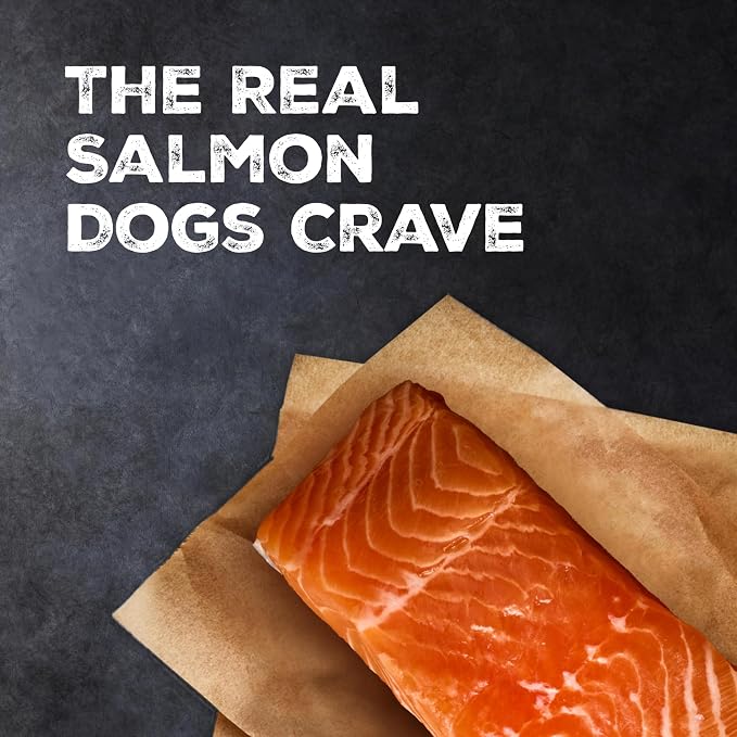 Blue Buffalo Wilderness Salmon Crunchy Dog Biscuits, Grain-Free, 24 oz | Real Salmon #1 Ingredient, High Protein Dog Treats, No Artificial Preservatives