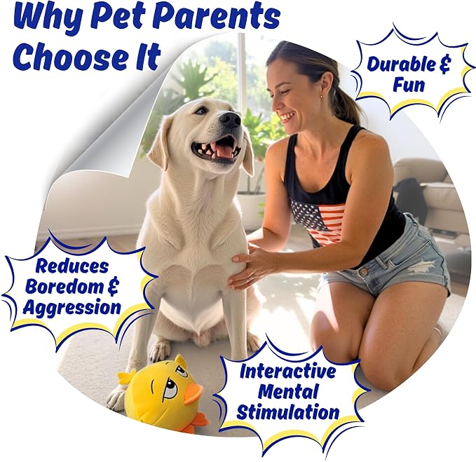 Dog Toy for Aggressive Chewers, Tough Squeaky Chew Ball, Large Breeds Gift