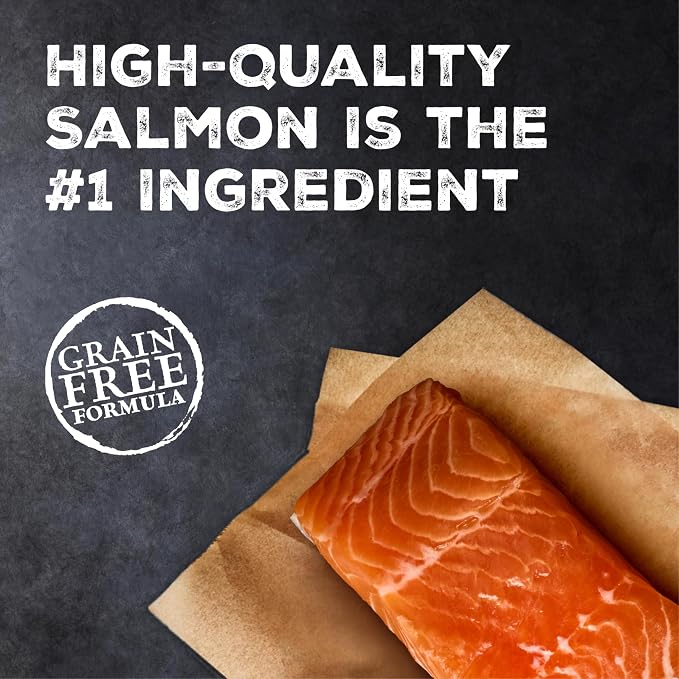 Blue Buffalo Wilderness Salmon Paté Adult Wet Cat Food, 3 oz, 24 ct | Real Salmon #1 Ingredients, High Protein & Grain-Free Recipes, Supports Energy for an Active Life