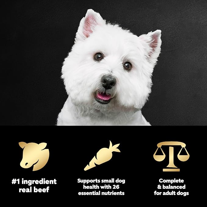 Cesar Small Breed Dry Dog Food, Filet Mignon & Spring Vegetables, 12 lb | Made in USA, Real beef #1 ingredient, 26 essential nutrients, supports small breed health, no artificial flavors