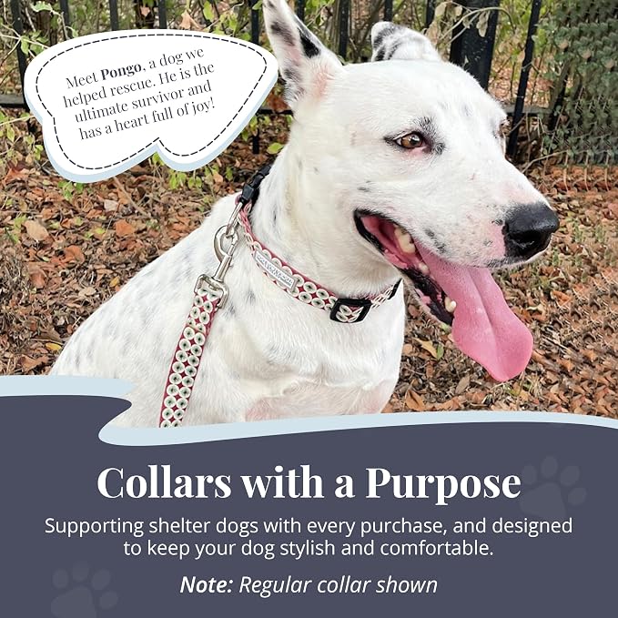Lucky Love Dog Martingale Collar for Medium Dogs No Slip – Pongo, Medium