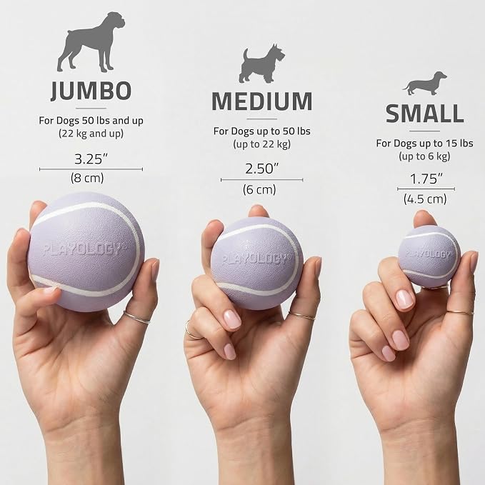 Playology Squeaky Chew Ball Dog Toy - Jumbo, Lamb Scent