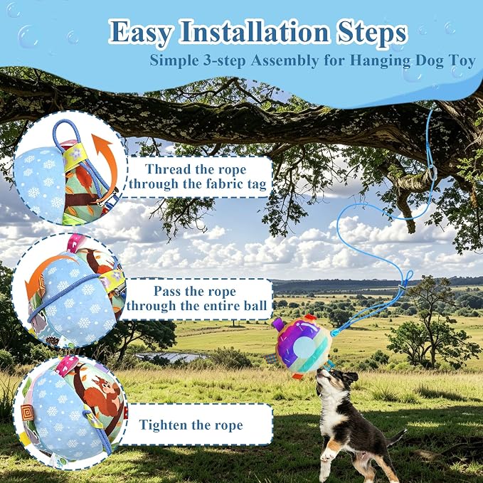 Colorful Squeaky Hanging Dog Toy with Suction Cup for Small Dogs | Bungee Tether, Crinkle Bell Ball, Bouncing Self-Play Toy, Door Frame Mounted, Interactive Fetch for Puppy Teething & Exercise