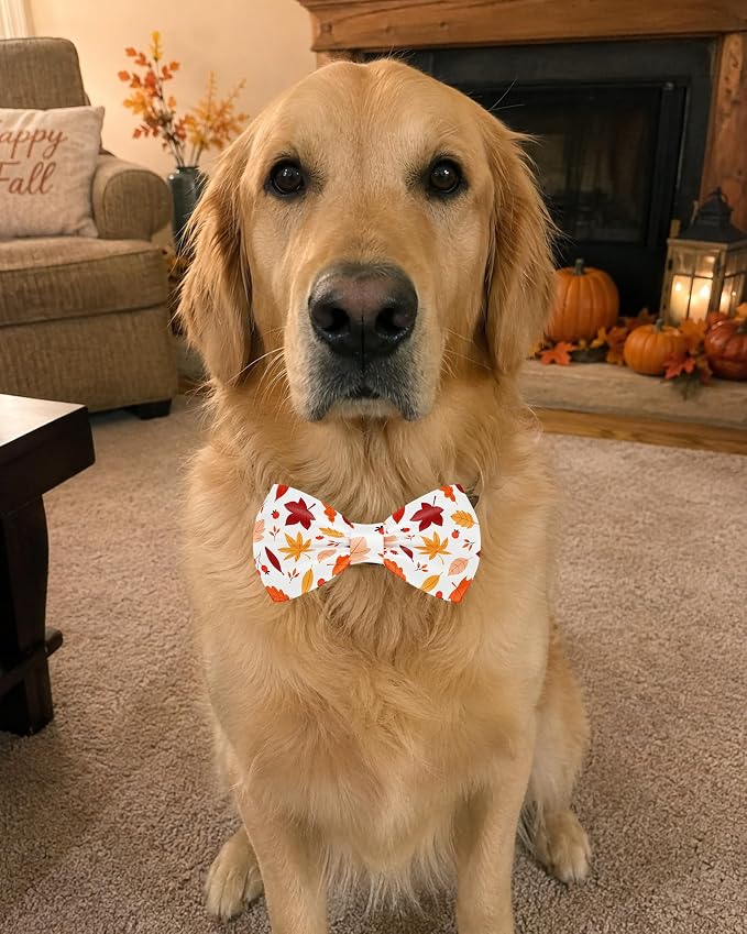 PET SHOW 5 Pack Dog Bowties Fall for Large Dogs Slide on Collar