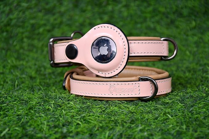 Airtag Luxury Real Leather Dog Collar Genuine Leather Dog Collar for Small Medium Large Dogs | Soft Padded Leather Collar With Anti -Rust Buckle Hardware (Size - S)Fits Neck 12, 13 & 14 inches