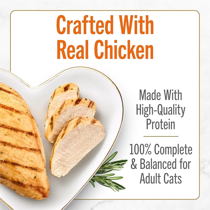 Fancy Feast Purina Savory Centers Gourmet Wet Cat Food Pate with Chicken and Gravy Center, 3 oz Cans (Pack of 48)