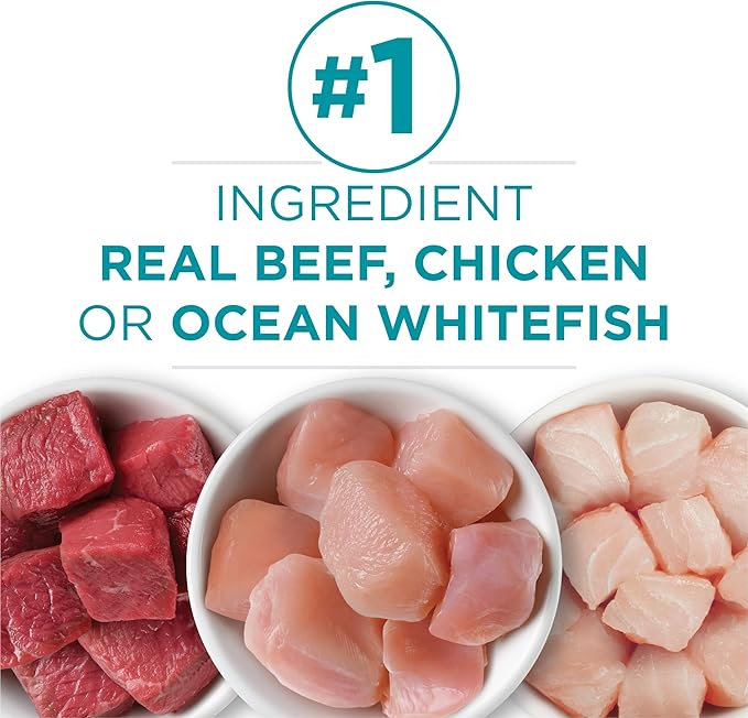 Purina ONE Grain Free,Natural Pate Wet Cat Food Variety Pack,Beef,Chicken and Ocean Whitefish Recipes - 3 oz. Pull-Top Cans,(Pack of 48)