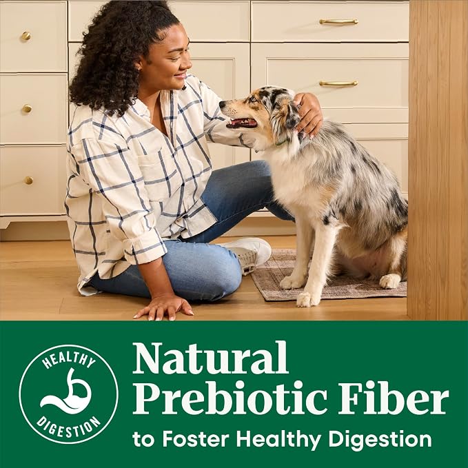 Nutro Natural Choice Small Bites Dry Dog Food, Lamb & Rice, 5 lb | Non-GMO, Real lamb #1 ingredient, no corn, wheat, soy, crafted in USA, supports energy, bones, muscles, dental health, skin