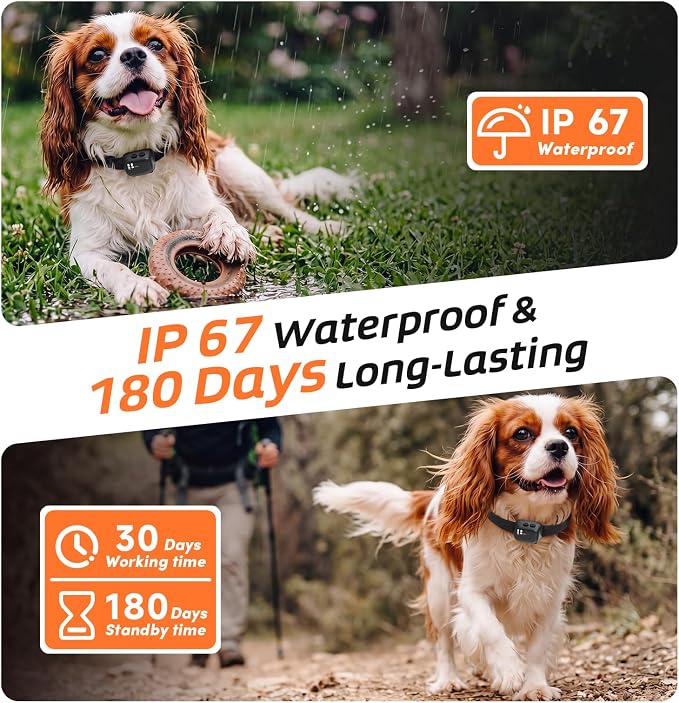 Tiny Bark Collar for Small Dogs 5-15lbs, Only 1.4*1 in & 0.6oz, No Shock Anti Barking Collar with Vibration & Beep, Extra Small &Rechargeable Bark Collar for Dog Training, 5 Sensitivity Levels(Black)