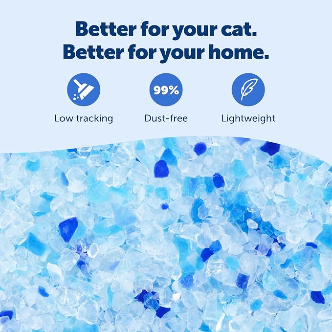 PetSafe ScoopFree Premium Crystal Litter, Fresh Scent, 8Lb Bag, 3 Pack | 5x Faster Odor Control than Clumping Clay Litter, 99% Dust-Free, Low Tracking Crystals, Compatible with Any Cat Litter Box