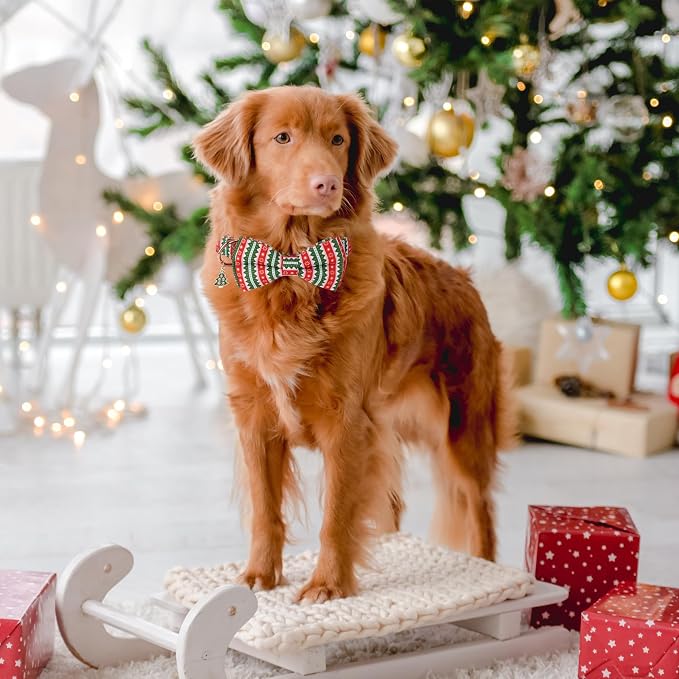 ADOGGYGO Christmas Dog Collars with Bow, Detachable Stripe Xmas Bowtie, Metal Buckle, Adjustable Green Christmas Collars for Extra Large Dogs Boy Girl (X-Large)