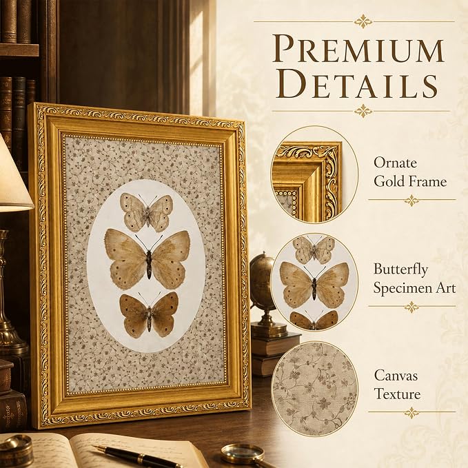 Vintage Butterfly Specimen Wall Art, Gold Framed Canvas Print | Vintage butterfly specimen wall art with gold frame, suitable for study room, office, and gallery wall decoration.