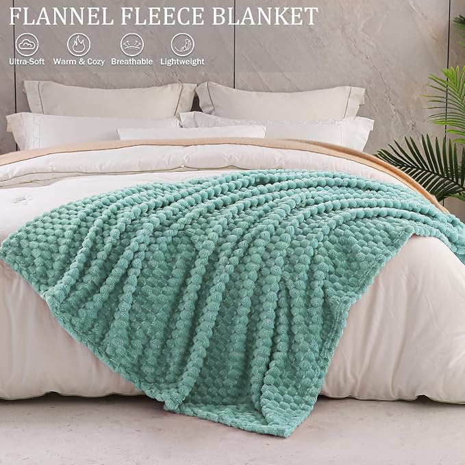 Exclusivo Mezcla 3D Fleece Queen Size Blanket for Bed, Celadon | Extra Soft Fuzzy Plush Lightweight Bed Blankets, Cozy Fluffy Decorative Blankets for All Seasons, 90x90 Inches