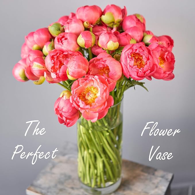 CYS Excel Clear Glass Cylinder Vase (H:12" D:4") | Multiple Size Choices Glass Flower Vase Centerpieces | Hurricane Floating Candle Holder