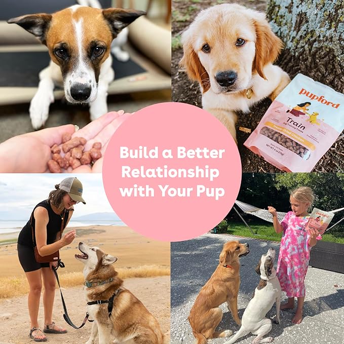 Pupford Freeze Dried Training Treats for Dogs & Puppies (Chicken, 4 oz) | 475+ treats per bag, Ultra low-calorie, Only 2 ingredients, All breed sizes, Mess free and bite sized, Trainer recommended