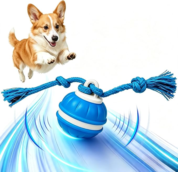 Interactive Dog Ball, 360° Self-Moving, USB-C, LED and Squeaker
