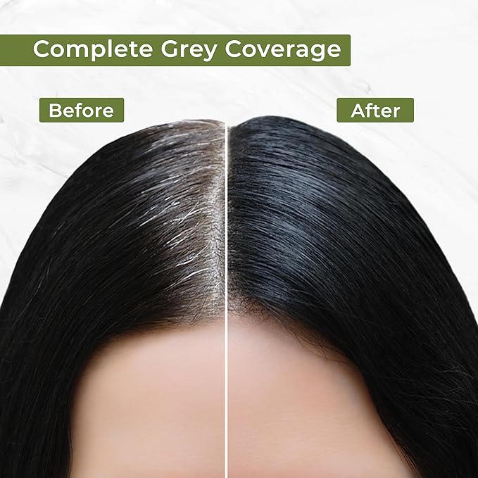 Indus Valley Organic Damage Free Gel Hair Color | Gray Coverage of Resistant Gray Hairs - Ammonia-Free & Vegan - Salon Influenced Hair Dye | Permanent Hair Dye For Women, Black 1.0, 8.45 fl. oz.