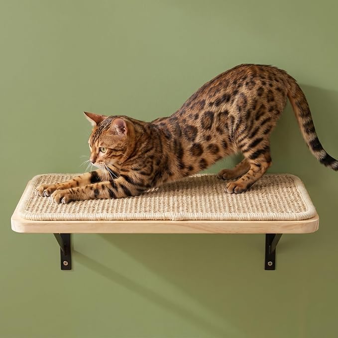 Cat Floating Wall Shelf with Scratching Mat, 1PC, 9.7X16.6 Inch | 1 Inch Thick Wood Board , Wall Mounted, Supports to 30 LBS, For Sleeping, Playing, Climbing