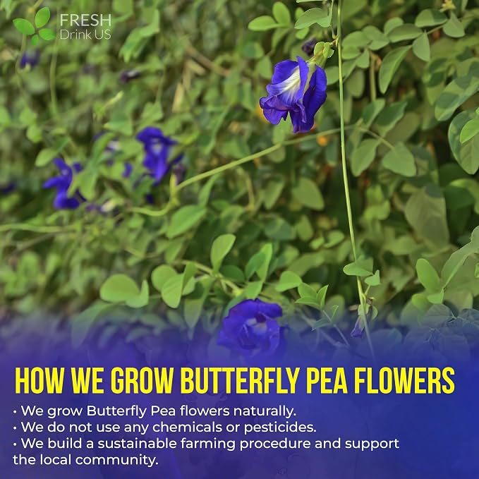 FreshDrinkUS, Premium 35 Blue Butterfly Pea Flowers Tea Bags, 100% Natural and Pure from Butterfly Pea Flowers, Made With Natural Material Tea Bag, No Sugar, No Caffeine, No Gluten, Vegan