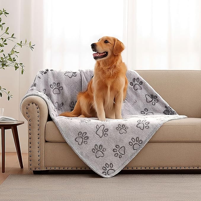41" x 30" Dog Blankets for Medium Dogs, Cat, Premium Soft Dog Blankets | for Small Dog Washable, Puppy Blanket Dogs Essentials for Puppies (Grey)