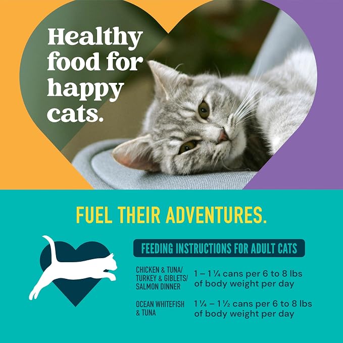A Strong Heart Cat Food Variety Pack, Chicken & Seafood, 40ct 5.5oz Cans | Pate & shreds in gravy, all life stages, complete & balanced, made in USA