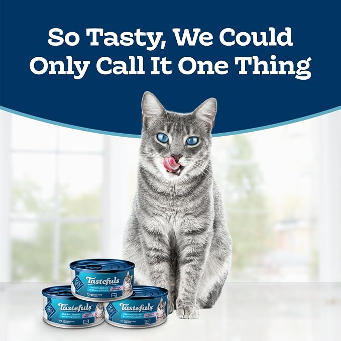 Blue Buffalo Tastefuls Natural Tender Morsels Wet Cat Food, Chicken Entrée 5.5-oz cans (Pack of 24) | Real Chicken First, Tender Morsel Texture, No Chicken By-Product, Corn, Wheat, or Soy