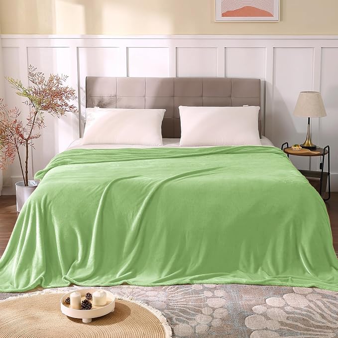 BEDELITE Fleece Blanket Soft Plush Queen Bed Blanket Grass Green 90"x90" | Ultra Soft Fleece, Plush Microfiber, Lightweight Warmth, All Season Comfort, Fade Resistant, Machine Washable,Perfect for Bed