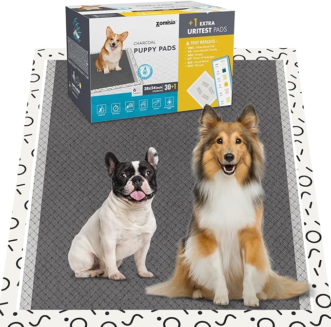ZOMISIA Charcoal Puppy Pee Pads for Dogs Extra Large, 28"x34" 30 Counts + 1 Extra Health Monitoring Pad - XL Dog Potty Training Pads Disposable, Odor-Control, Super Absorbent Leak-Proof