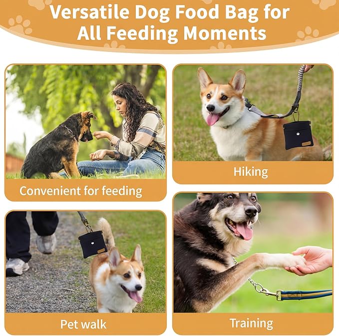 Dog Treat Pouch for Pet Training, Carabiner & Magnetic Buckle, Black