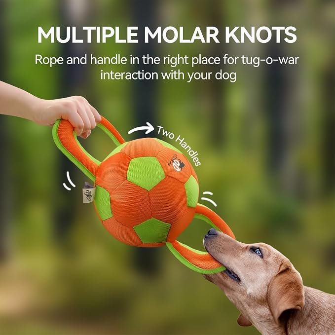 ALL FOR PAWS Upgraded Dog Ball with Handles, Durable Dog Toy with Squeaker, Interactive Tug of War Ball Toy for Medium and Large Dogs,15.7 x 7.9 x 7.9 Inch