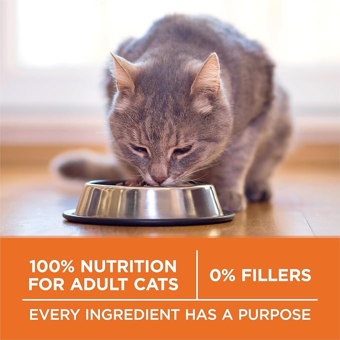 Purina ONE Healthy Weight Dry Cat Food, High Protein, 7 lb Bag | Made with real chicken and L-carnitine to help burn fat, plus antioxidants for immune support and calcium for strong teeth